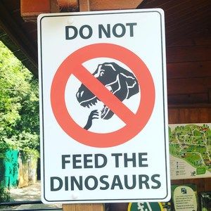 Meet your Posher, Acire